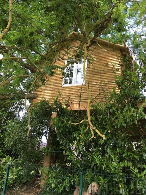 La Maison Du Mesnil Villa Barbery Bagian luar foto